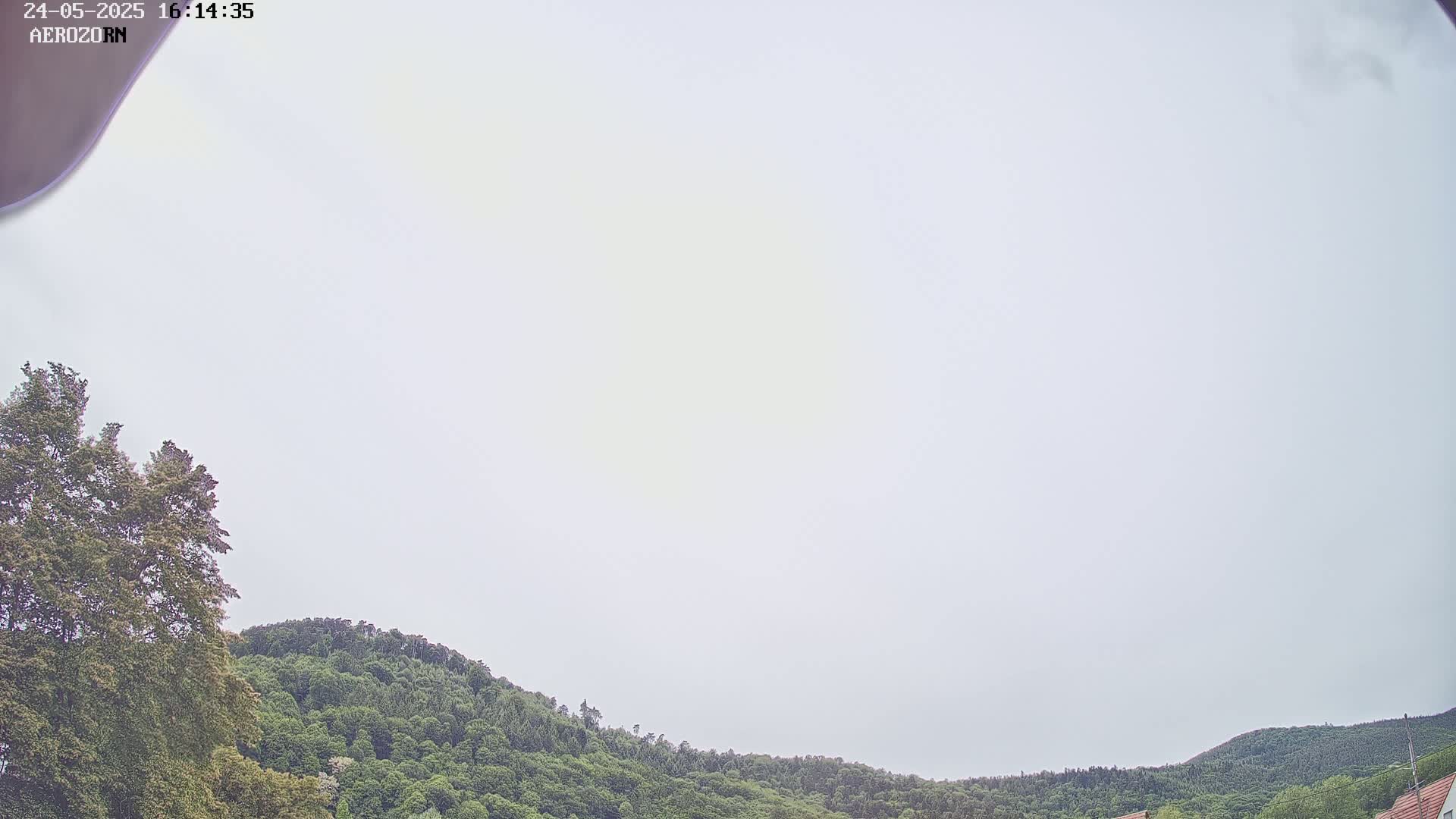 A mostly cloudy sky overlooks a gently sloping hillside covered in lush green trees.