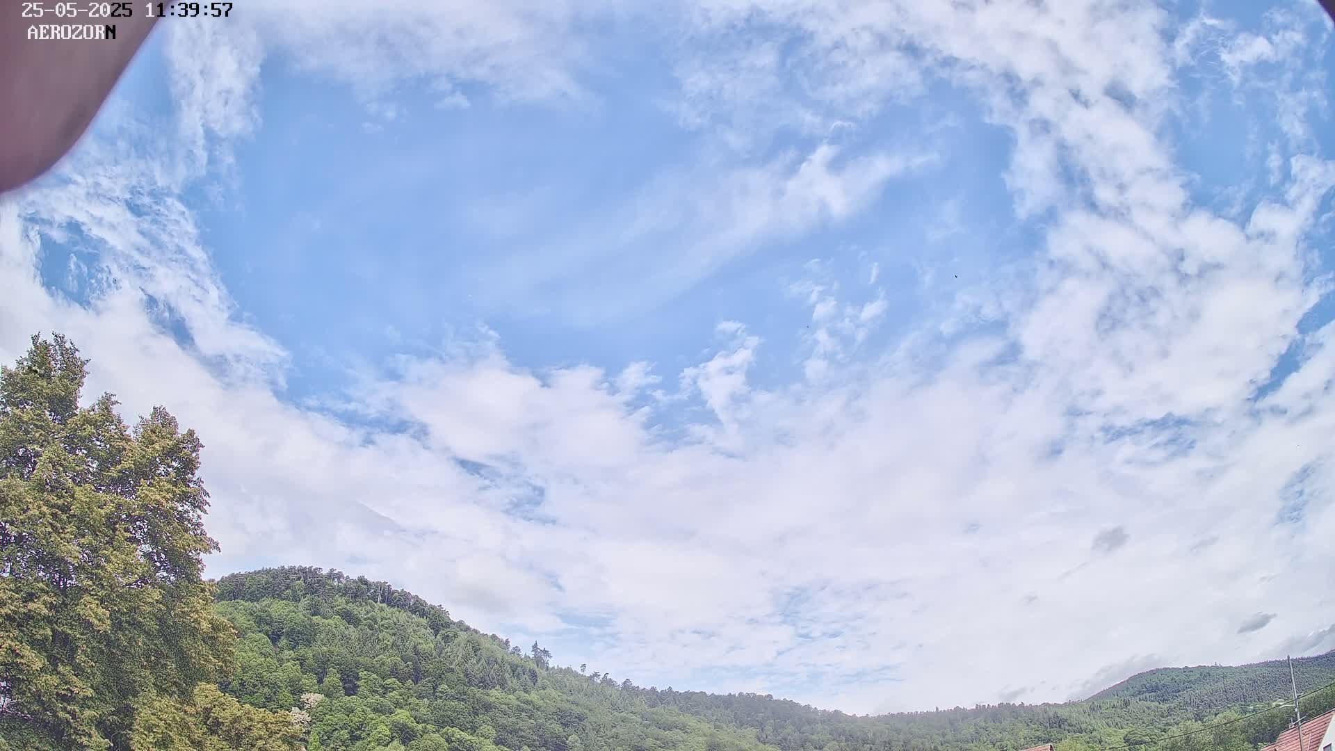 A mostly clear blue sky with scattered white clouds is over a lush green hill covered in trees.