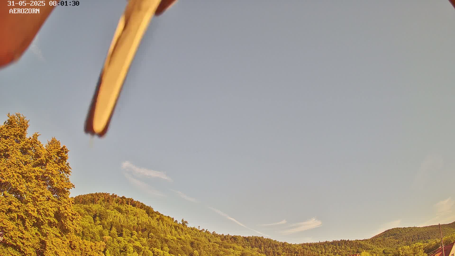 Reinhardsmunster Paragliding Club Flight Zone Live Cam - Saverne, Bas-Rhin, Grand Est, France