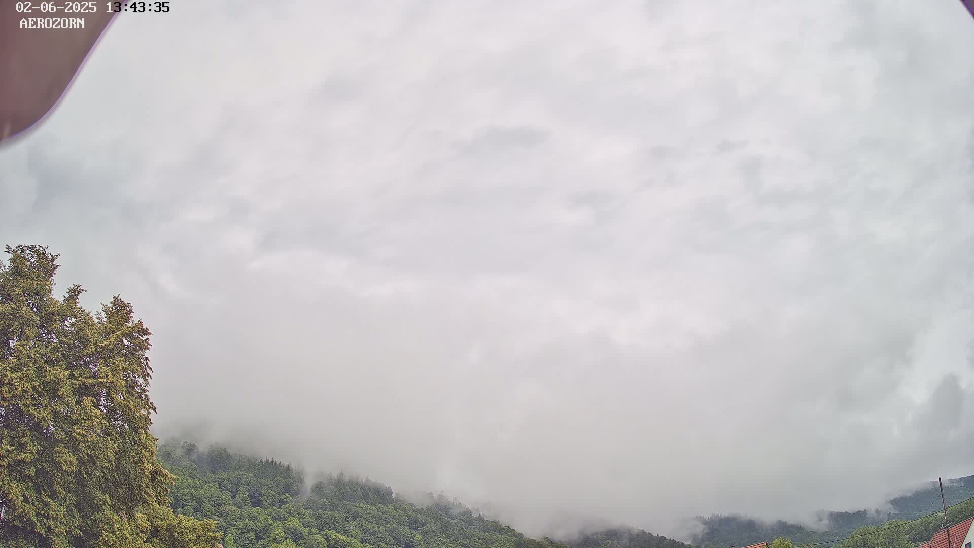 A foggy sky hangs over a lush green hillside with trees in the foreground.