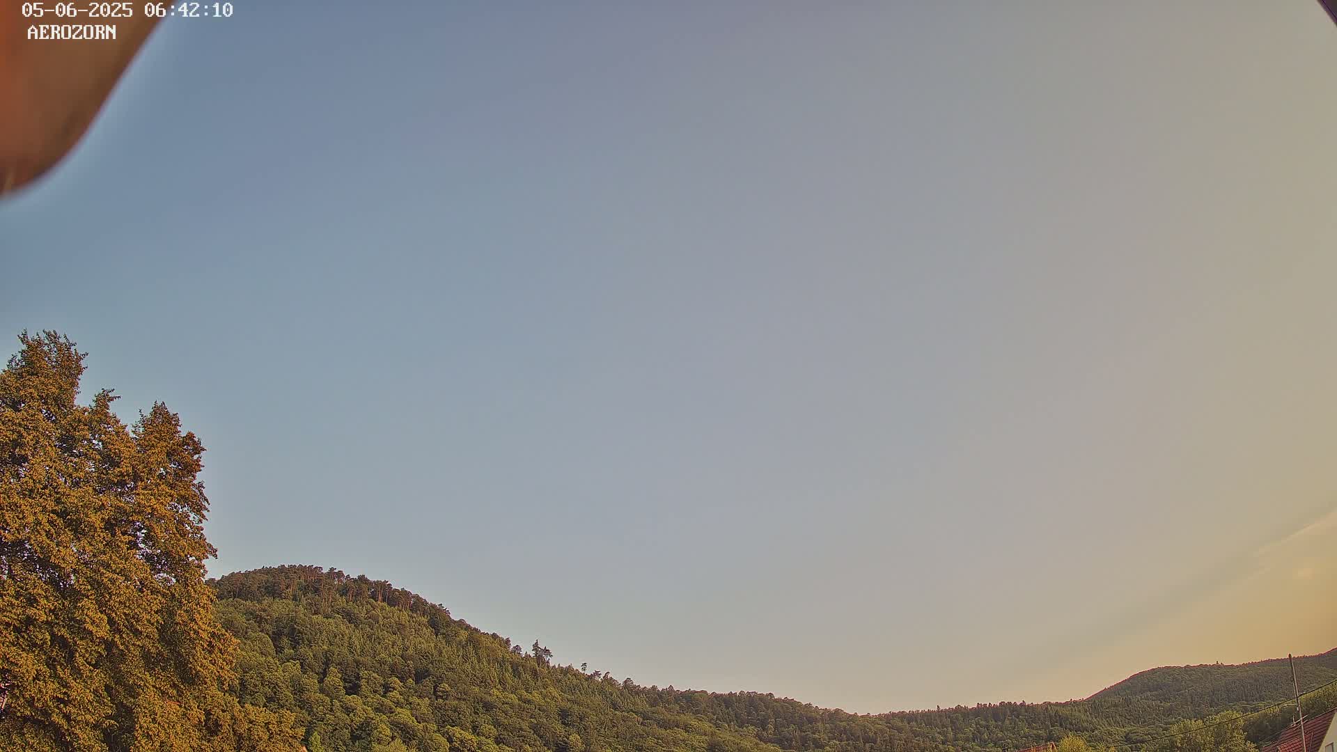 Under a clear, pale blue sky, a gently curved line of green, leafy hills is visible, with trees in the foreground.