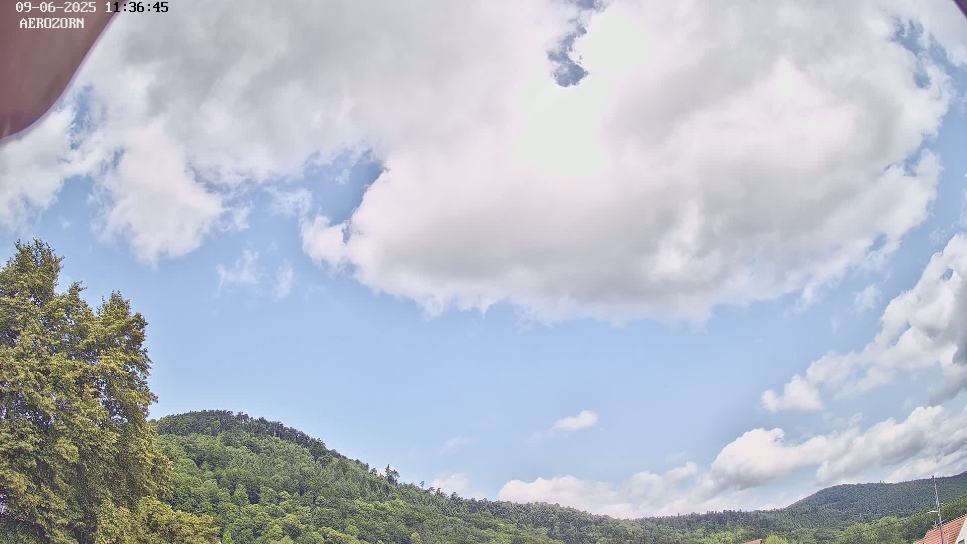 A partly cloudy sky is visible above a lush green hill, with leafy trees in the foreground.