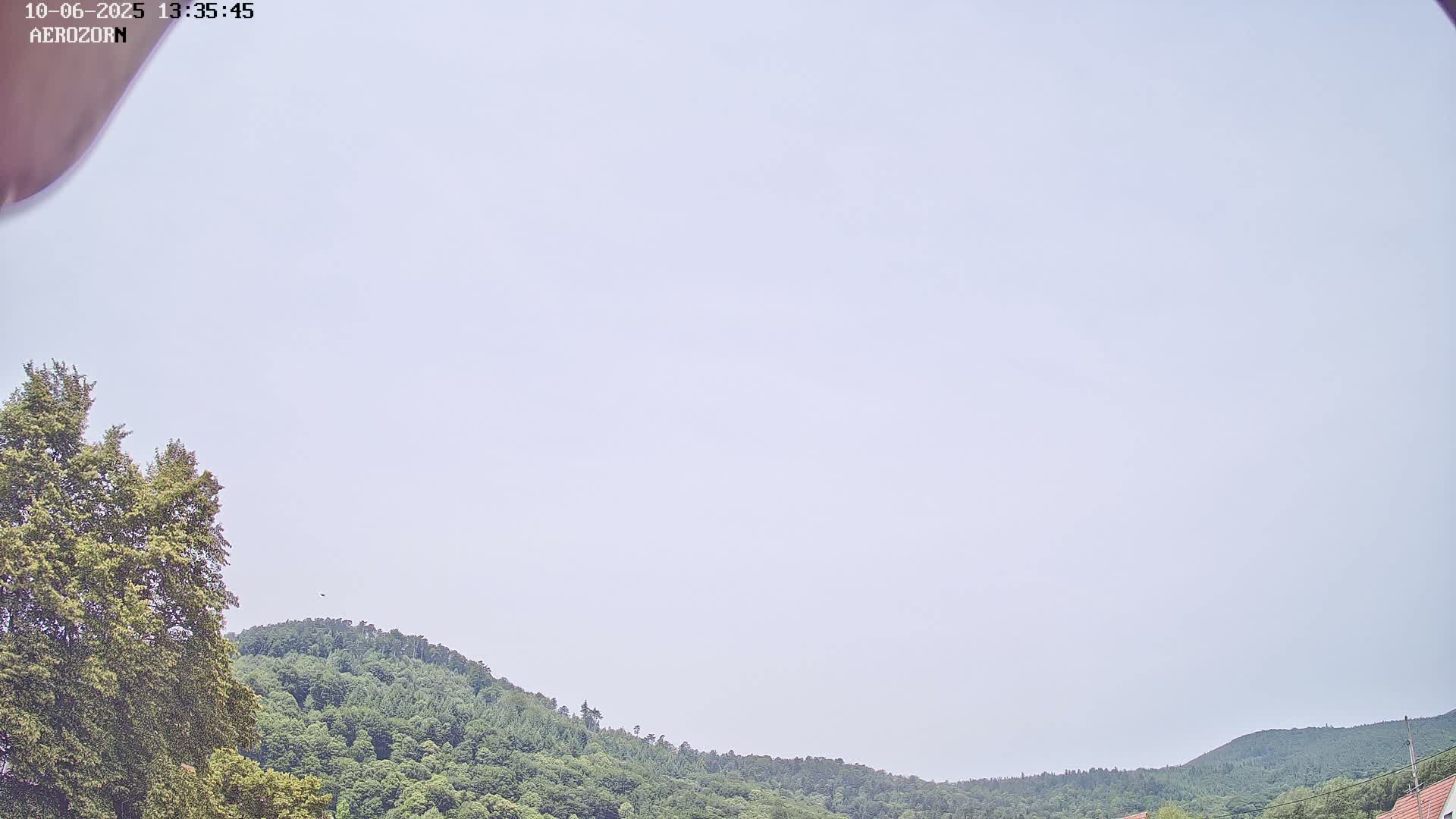 A mostly cloudy sky overlooks a lush green hillside partially obscured by leafy trees in the foreground.