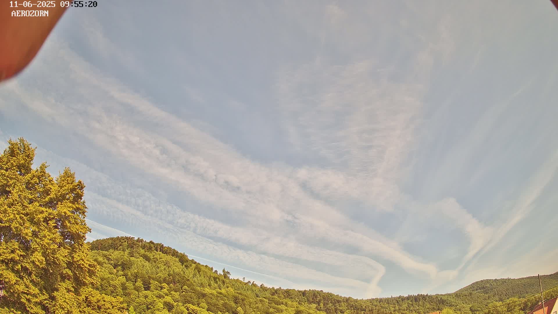 Under a mostly clear sky with thin, wispy clouds, a line of green hills is visible, partially obscured by a large tree in the foreground.