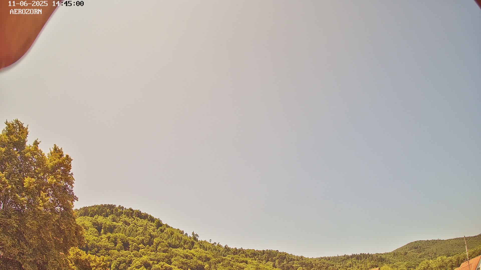A mostly clear sky overlooks a gently sloping hill covered in lush green trees.