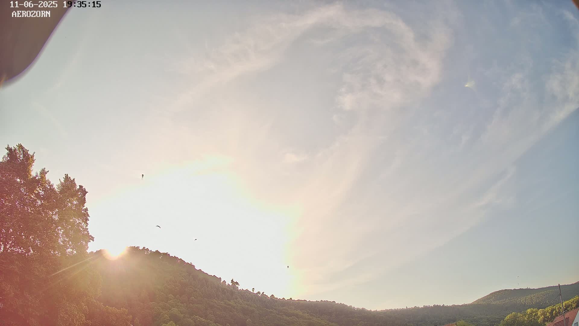 A bright, partly cloudy sunset illuminates a hillside covered in green trees, with several paragliders visible in the sky.