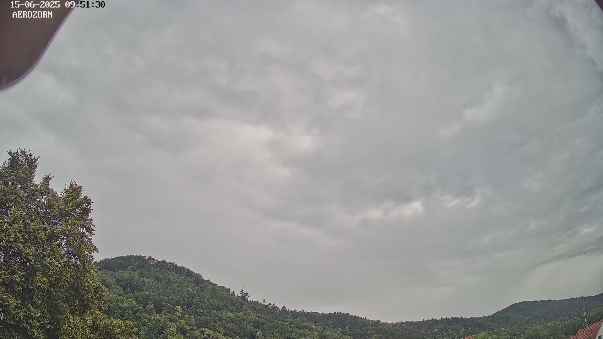 Overcast skies loom over a verdant, rolling hillside covered in lush green trees.