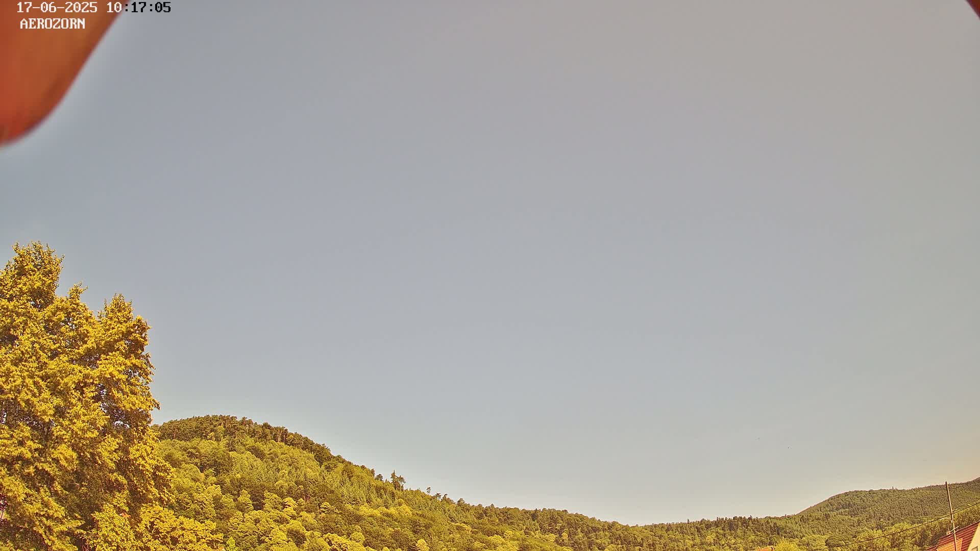 A mostly clear sky overlooks a gently sloping hillside covered in lush green and yellow-green trees.