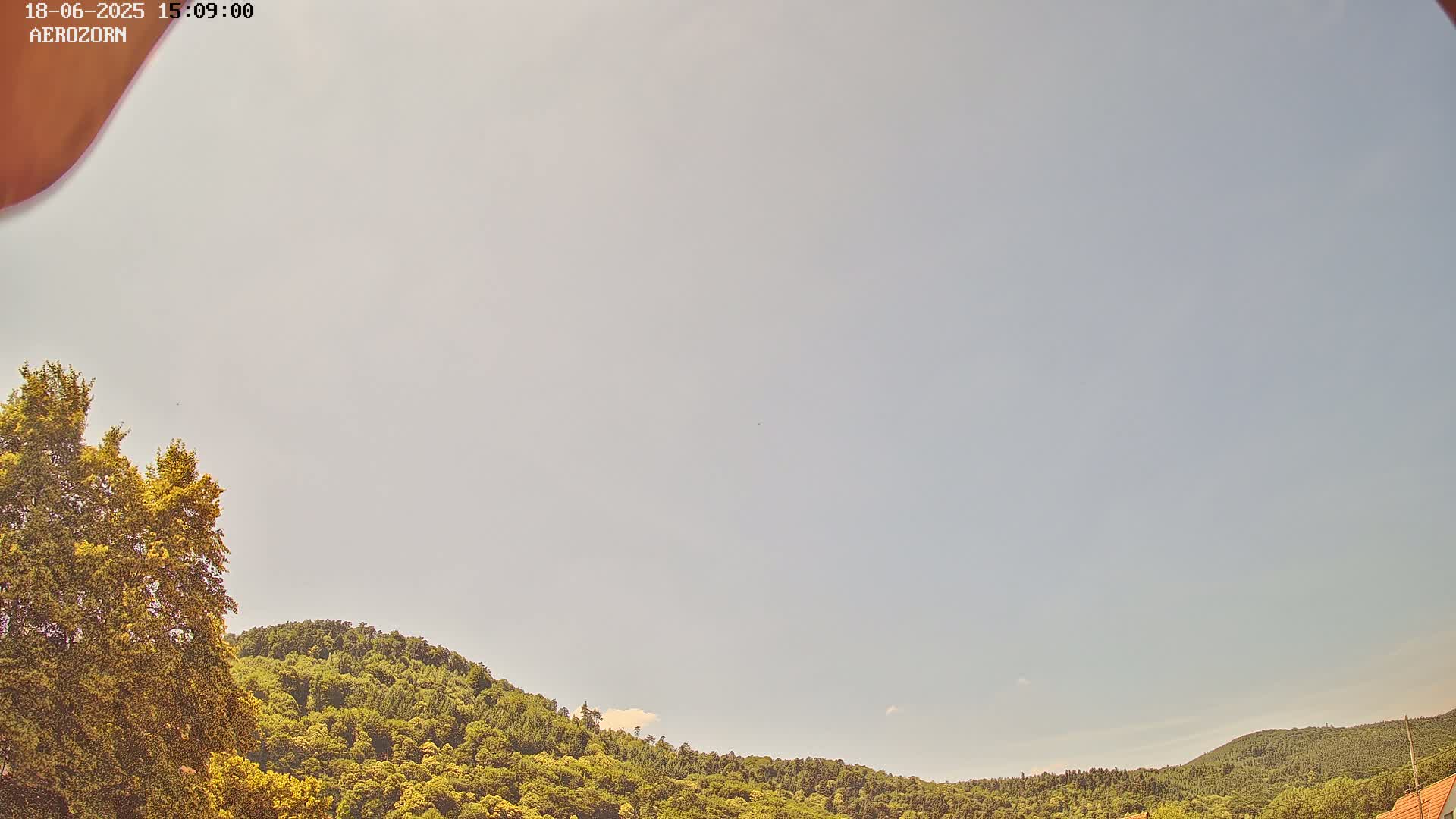 A mostly clear sky overlooks a gently sloping hillside covered in lush green trees.