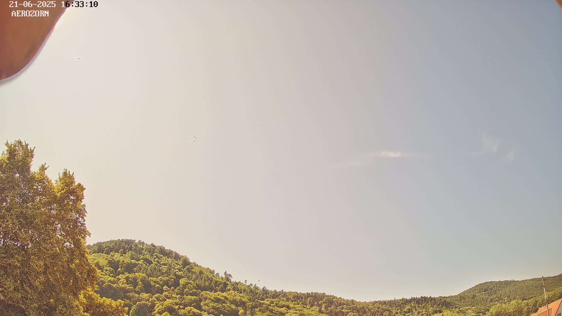 Under a mostly clear, light-blue sky, a lush green hillside stretches across the horizon, with a single tree visible in the foreground.