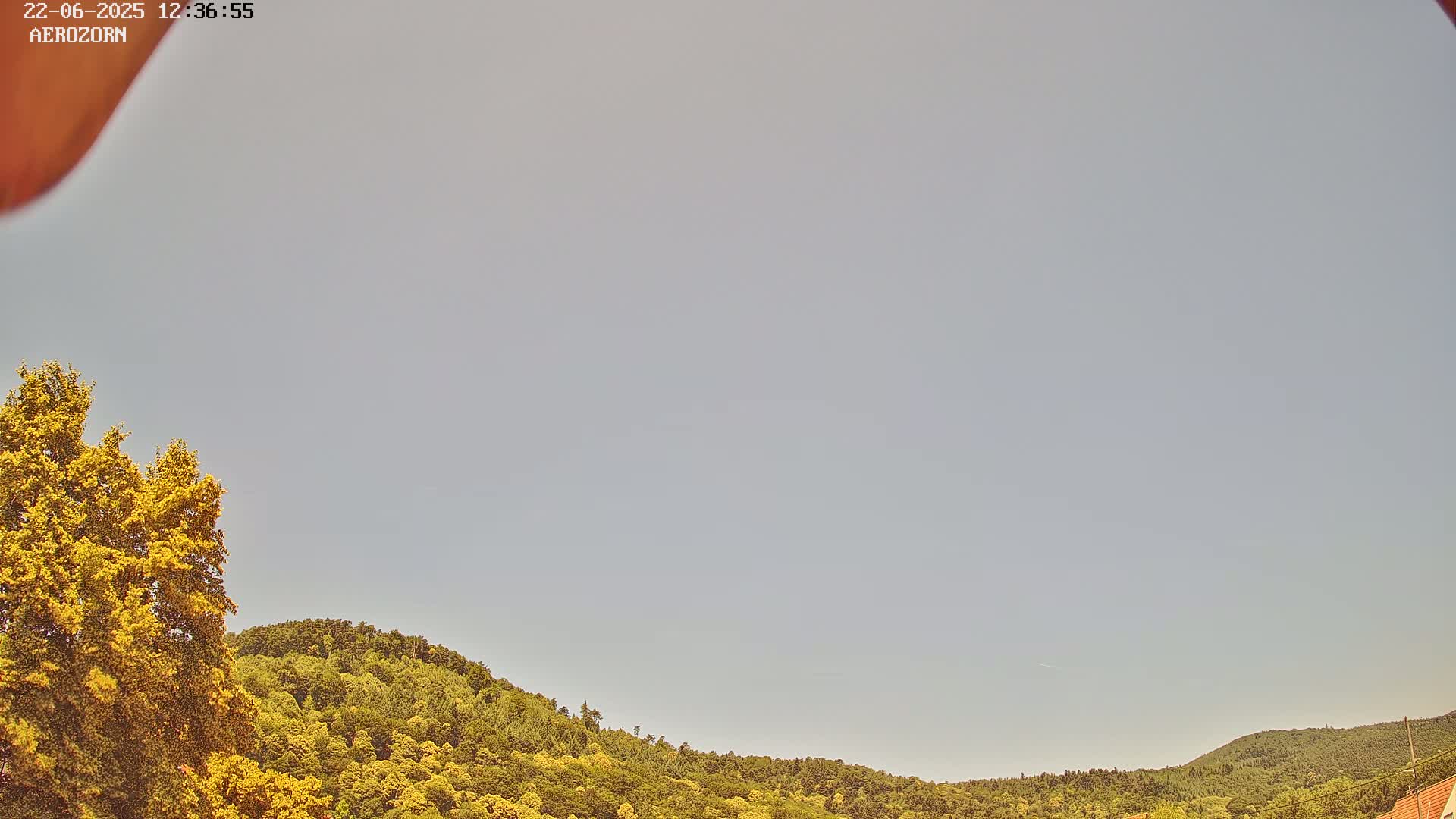 A mostly clear sky is visible above a gently sloping hillside covered in lush green and yellow-green trees.