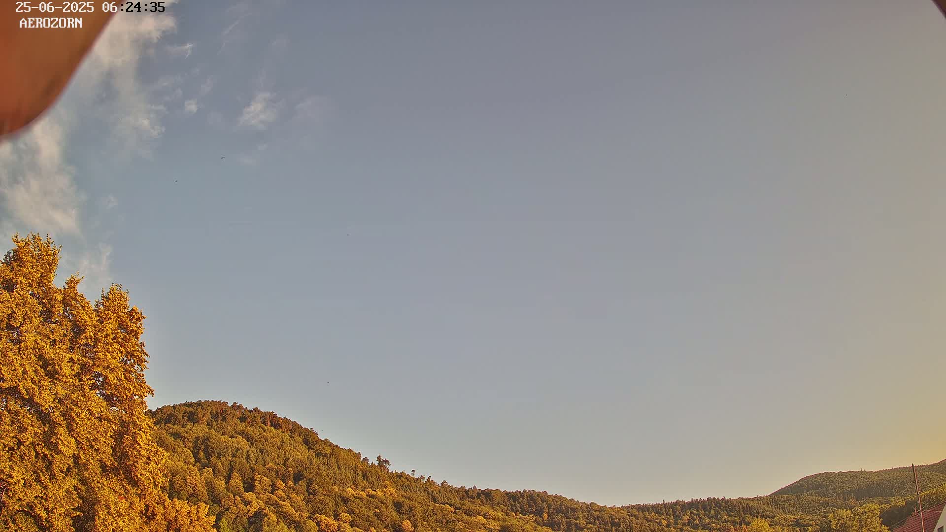 A mostly clear sky is over a gently sloping hill covered in autumnal trees.