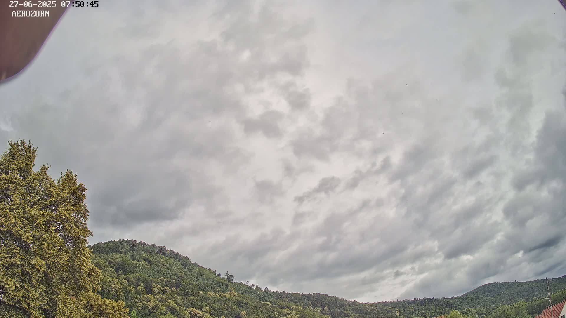 Reinhardsmunster Paragliding Club Flight Zone Live Cam - Saverne, Bas-Rhin, Grand Est, France