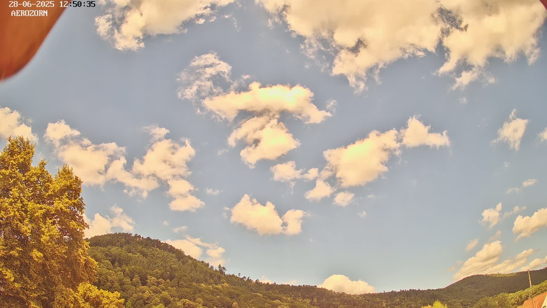 Reinhardsmunster Paragliding Club Flight Zone Live Cam - Saverne, Bas-Rhin, Grand Est, France