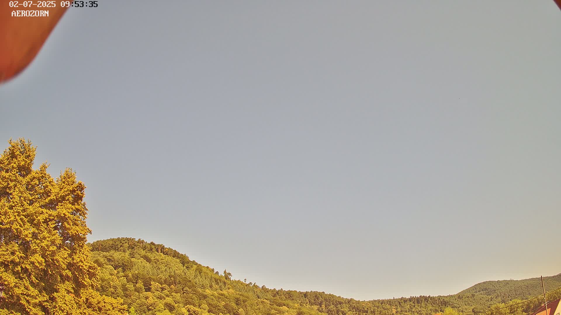 Under a pale, clear sky, a verdant hillside rises, partially obscured by a bright yellow-green tree in the foreground.