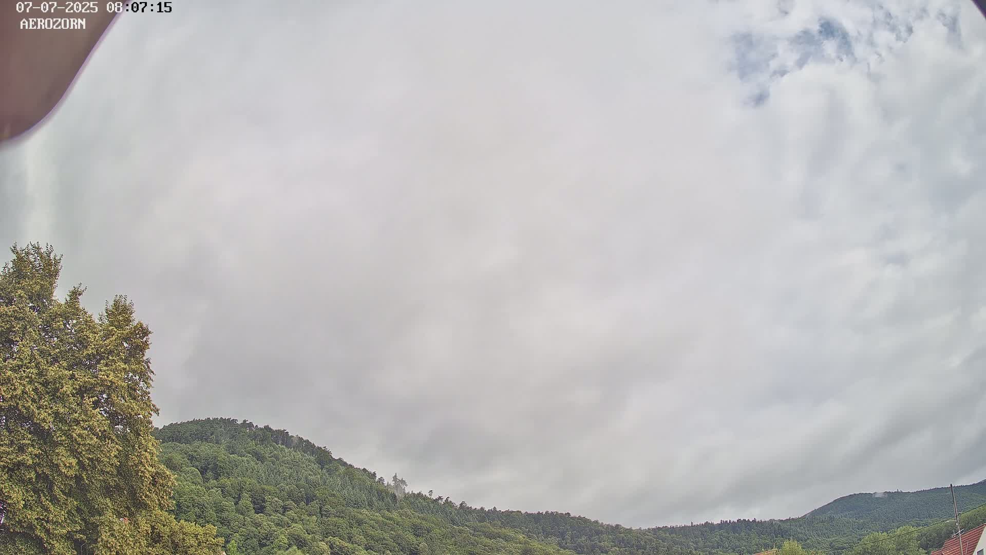 Reinhardsmunster Paragliding Club Flight Zone Live Cam - Saverne, Bas-Rhin, Grand Est, France