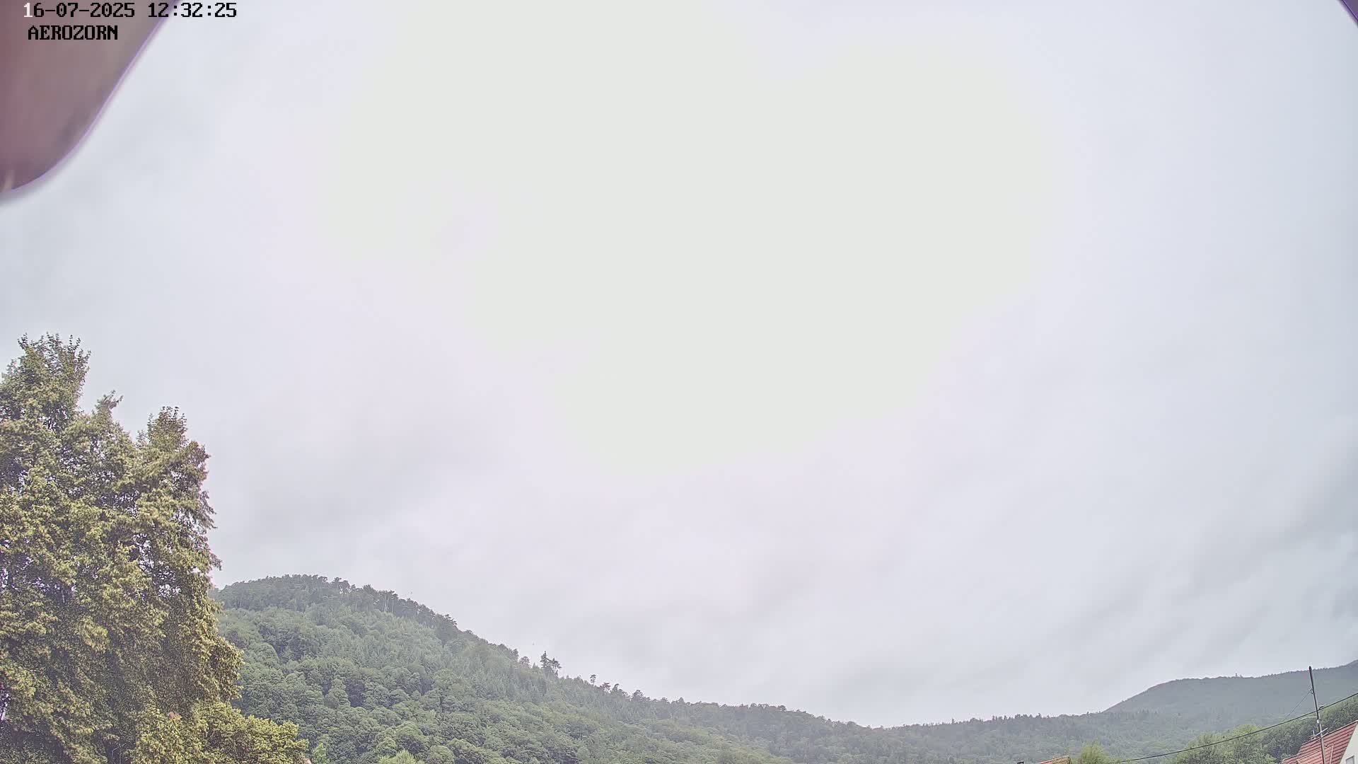 Reinhardsmunster Paragliding Club Flight Zone Live Cam - Saverne, Bas-Rhin, Grand Est, France