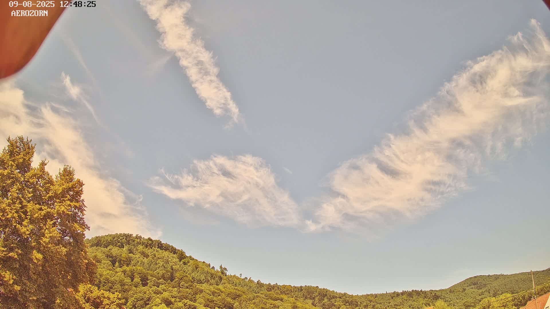 Reinhardsmunster Paragliding Club Flight Zone Live Cam - Saverne, Bas-Rhin, Grand Est, France