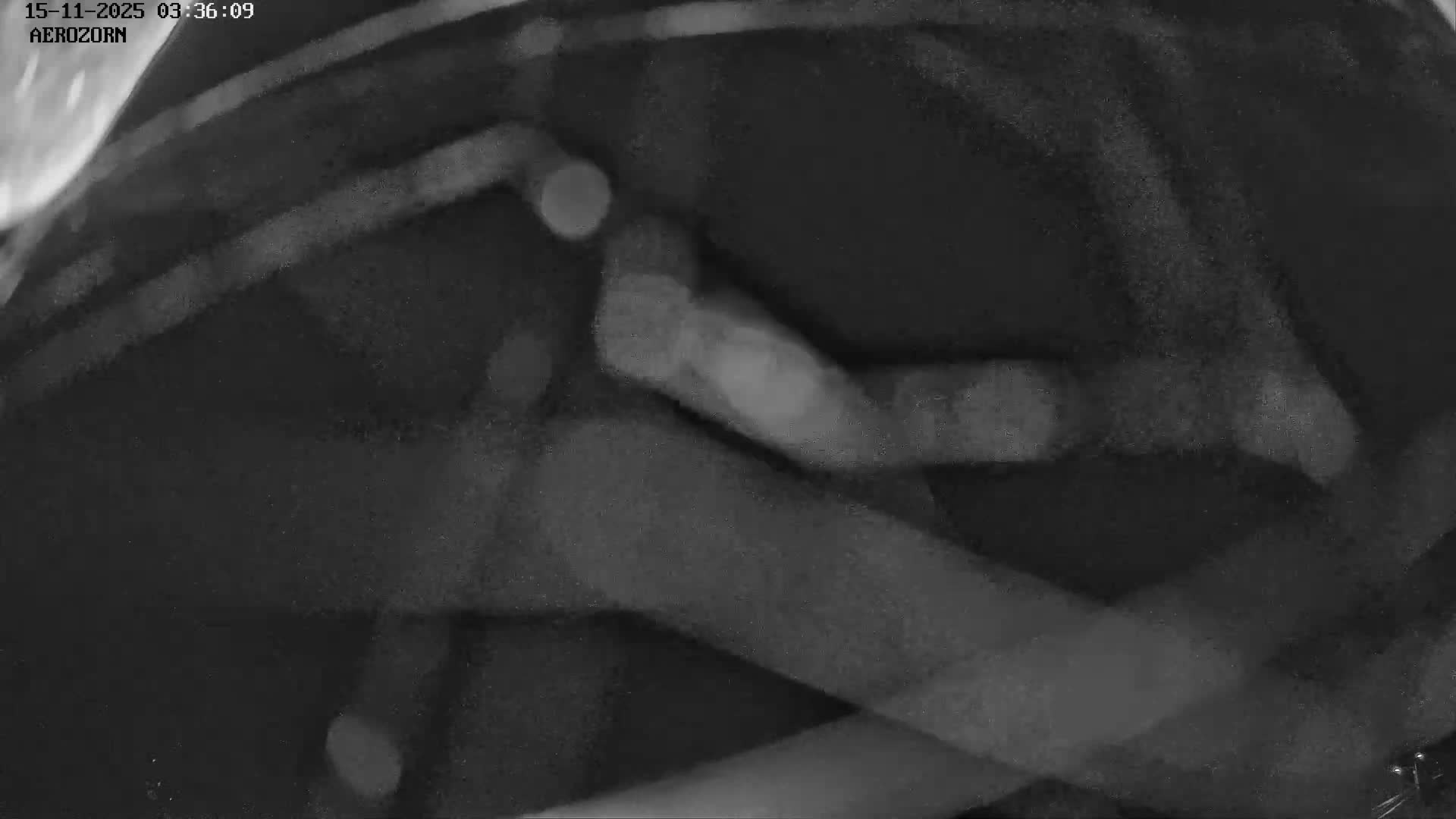 Reinhardsmunster Paragliding Club Flight Zone Live Cam - Saverne, Bas-Rhin, Grand Est, France