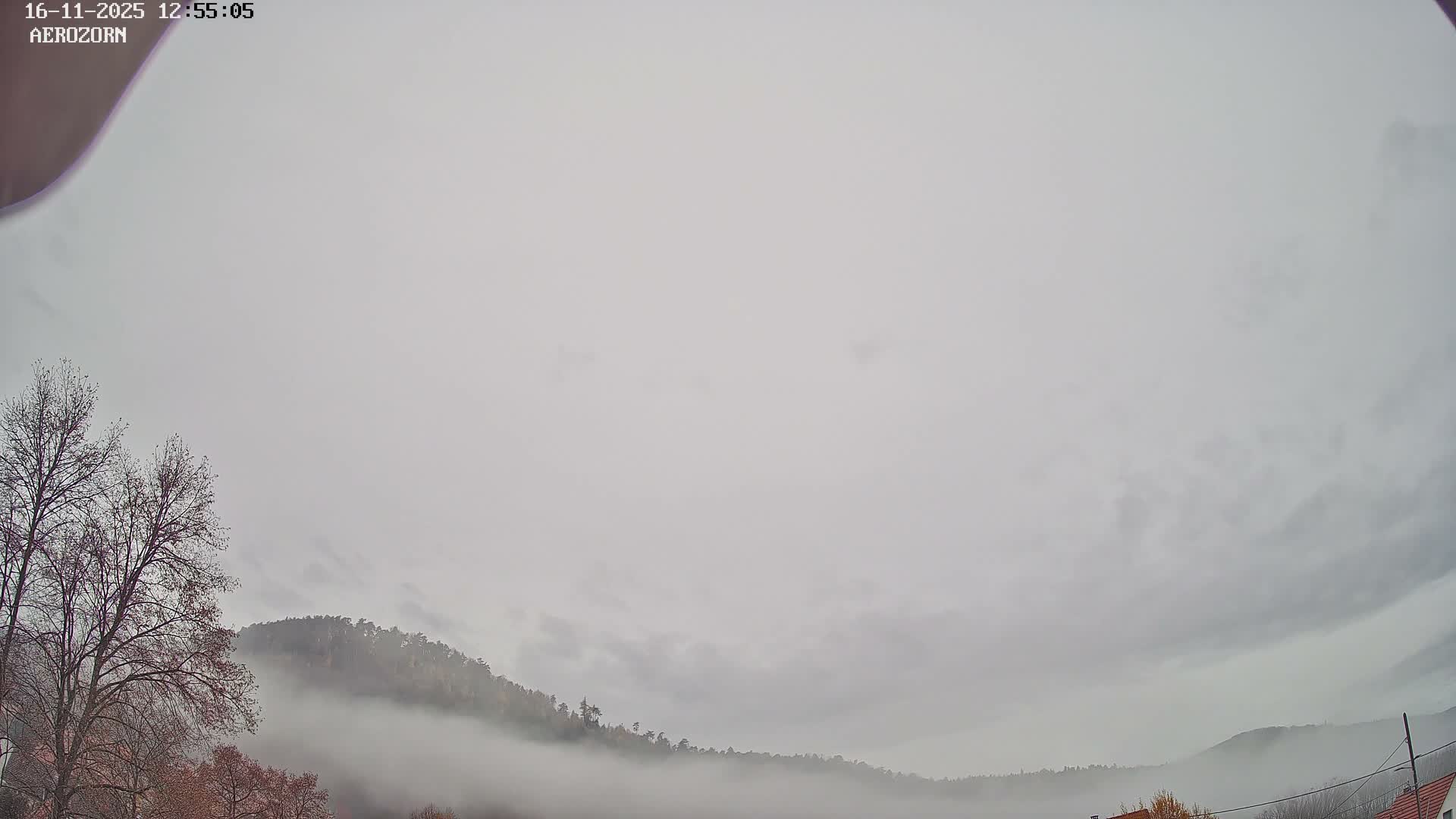 Reinhardsmunster Paragliding Club Flight Zone Live Cam - Saverne, Bas-Rhin, Grand Est, France
