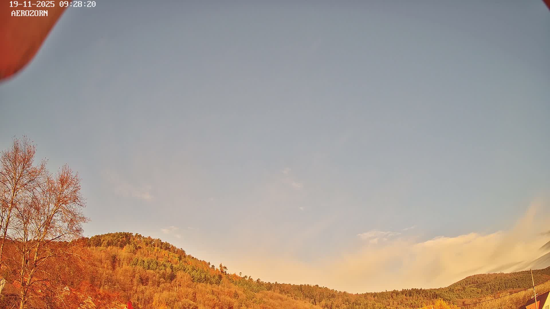 The outdoor image shows rolling hills densely covered with a mix of autumn-colored deciduous and evergreen trees, with a prominent bare tree in the left foreground, all under a clear to partly cloudy blue sky with a soft, warm glow near the horizon, indicating fair weather.