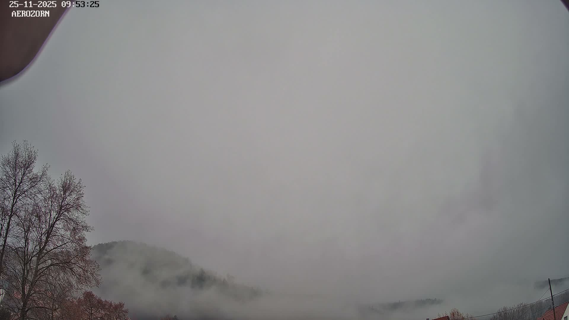 An overcast and misty day reveals bare trees in the foreground and hills partially shrouded in thick fog, with faint rooftops peeking out below.