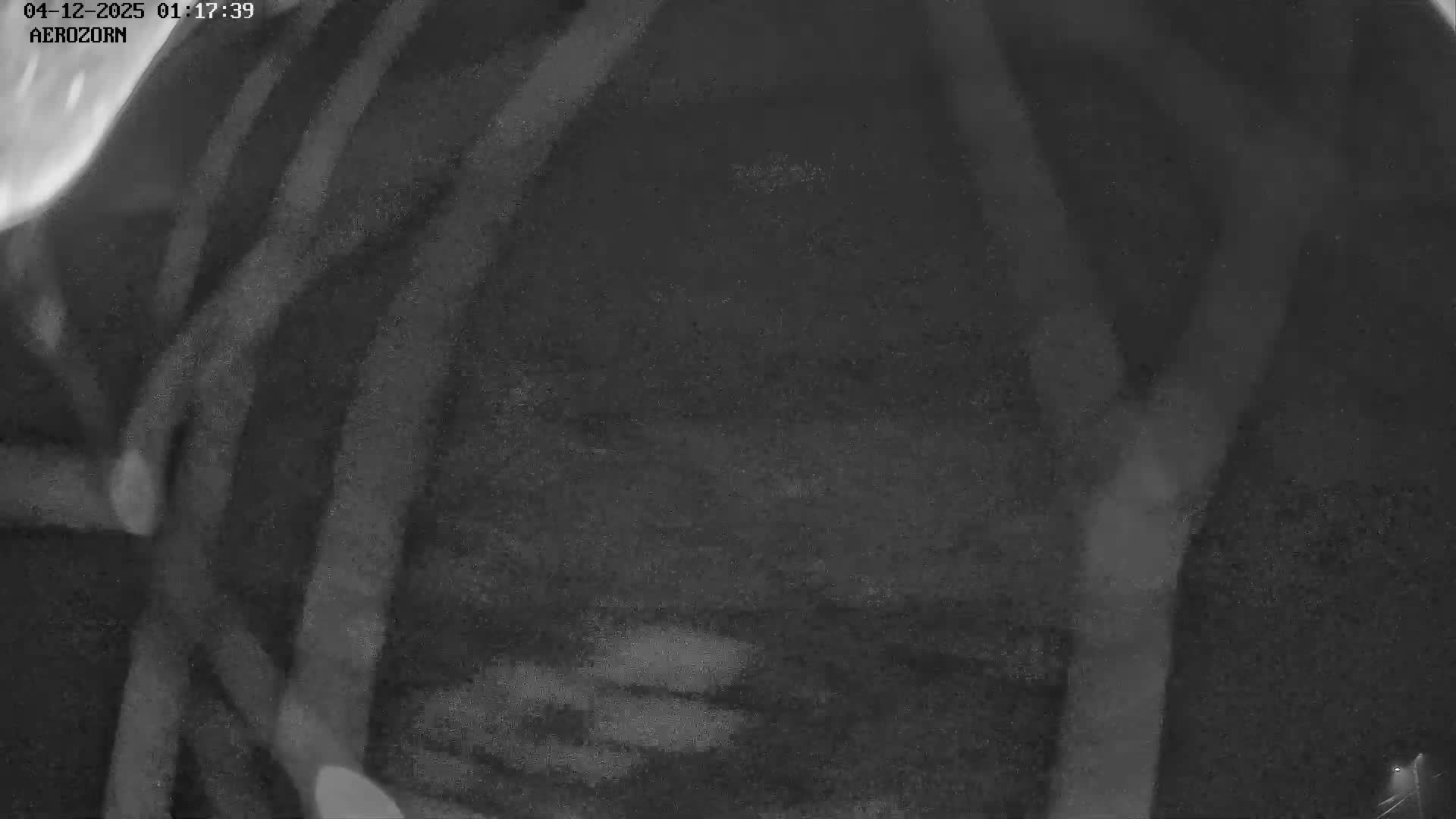 A grainy, monochromatic night-vision image depicts a blurry outdoor scene with dark, vertical elements in the foreground, possibly tree branches, against a dim background, during what appears to be a rainy or snowy night.