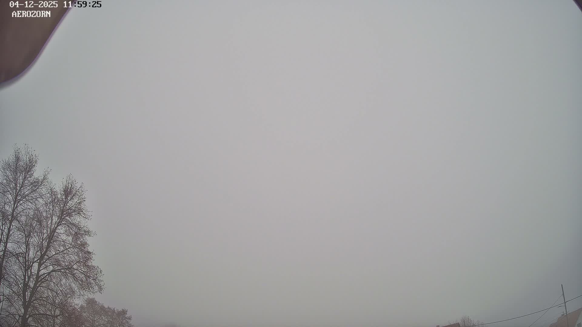 Reinhardsmunster Paragliding Club Flight Zone Live Cam - Saverne, Bas-Rhin, Grand Est, France