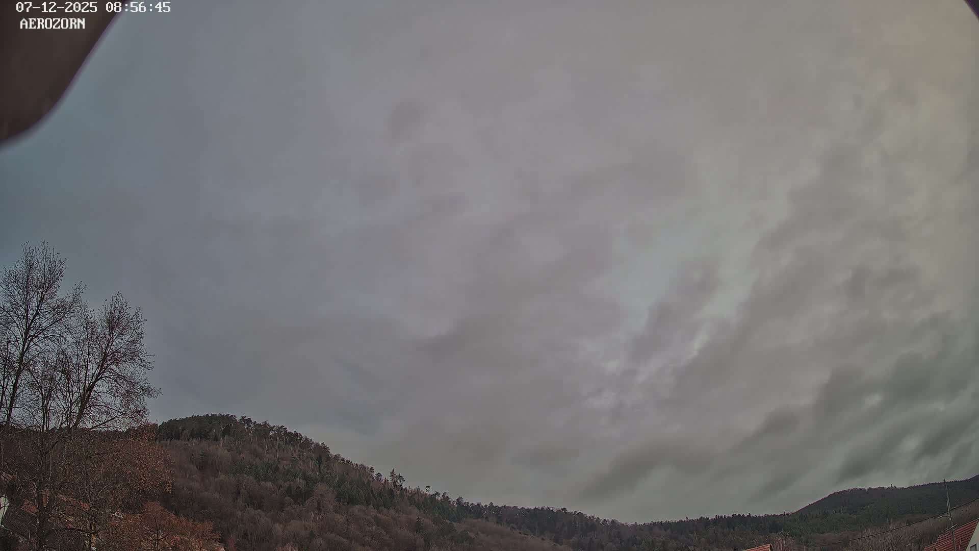 Reinhardsmunster Paragliding Club Flight Zone Live Cam - Saverne, Bas-Rhin, Grand Est, France