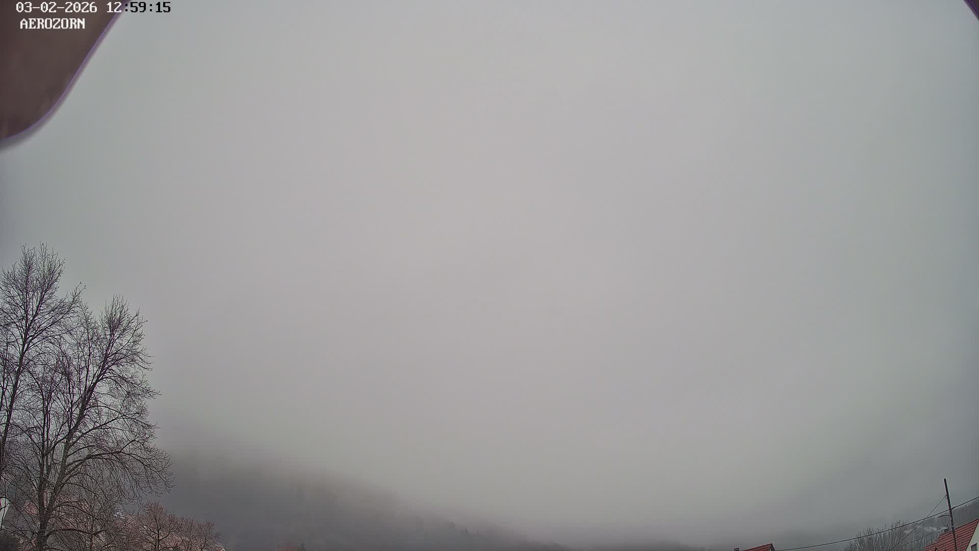 Reinhardsmunster Paragliding Club Flight Zone Live Cam - Saverne, Bas-Rhin, Grand Est, France