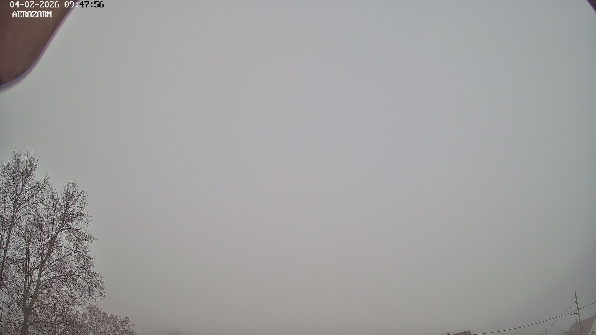 Reinhardsmunster Paragliding Club Flight Zone Live Cam - Saverne, Bas-Rhin, Grand Est, France