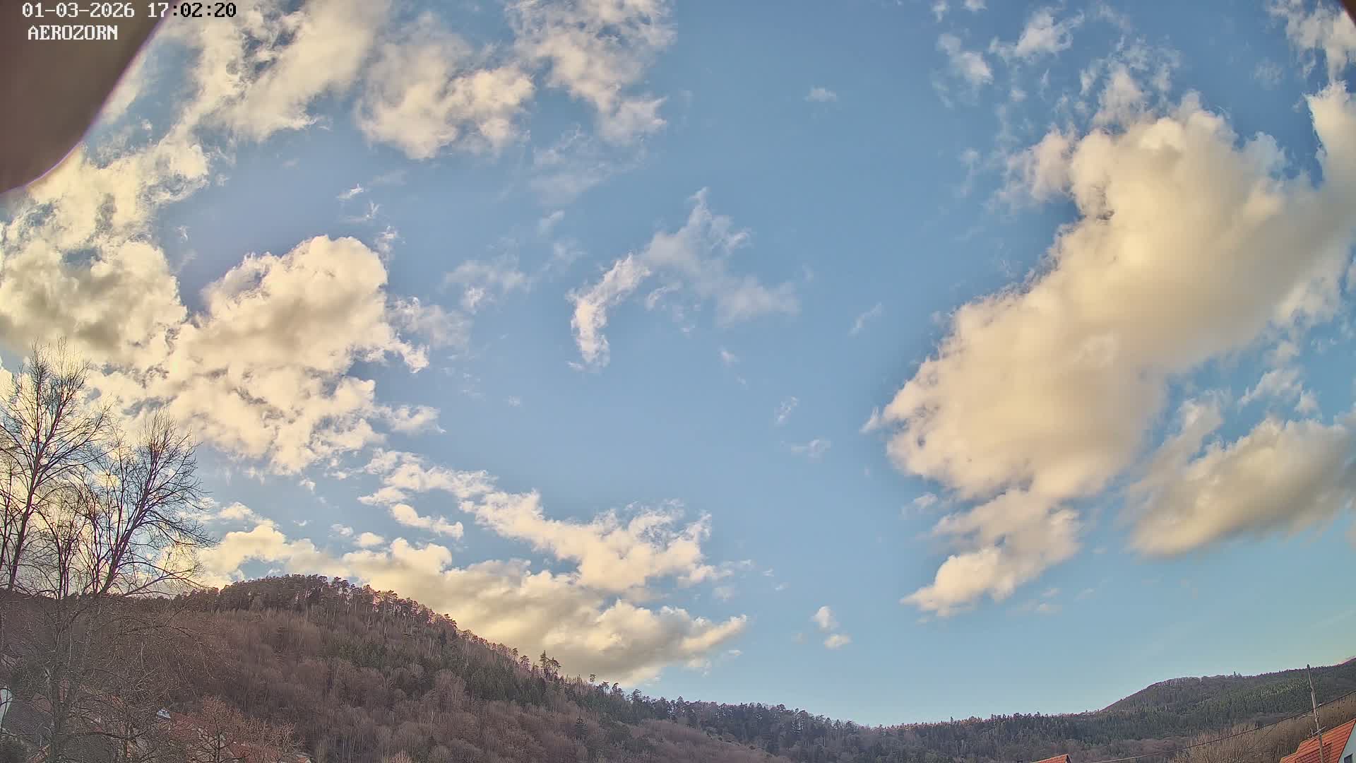 Reinhardsmunster Paragliding Club Flight Zone Live Cam - Saverne, Bas-Rhin, Grand Est, France