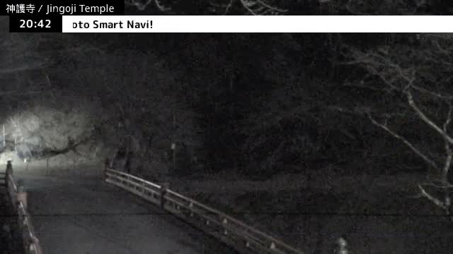 ( 神護寺庭園、京都、右京 ) Jingo-ji Temple Garden, Kyoto, Ukyo  Live Cam - Umegahata Takaocho, Ukyo-ku, Kyoto, Kyōto, Kansai, Japan 