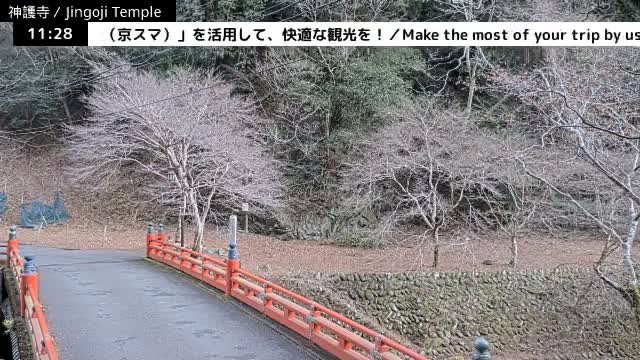 ( 神護寺庭園、京都、右京 ) Jingo-ji Temple Garden, Kyoto, Ukyo  Live Cam - Umegahata Takaocho, Ukyo-ku, Kyoto, Kyōto, Kansai, Japan 