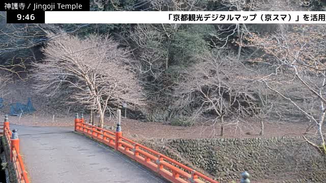 ( 神護寺庭園、京都、右京 ) Jingo-ji Temple Garden, Kyoto, Ukyo  Live Cam - Umegahata Takaocho, Ukyo-ku, Kyoto, Kyōto, Kansai, Japan 