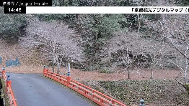 ( 神護寺庭園、京都、右京 ) Jingo-ji Temple Garden, Kyoto, Ukyo  Live Cam - Umegahata Takaocho, Ukyo-ku, Kyoto, Kyōto, Kansai, Japan 