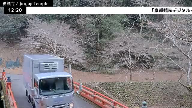 ( 神護寺庭園、京都、右京 ) Jingo-ji Temple Garden, Kyoto, Ukyo  Live Cam - Umegahata Takaocho, Ukyo-ku, Kyoto, Kyōto, Kansai, Japan 