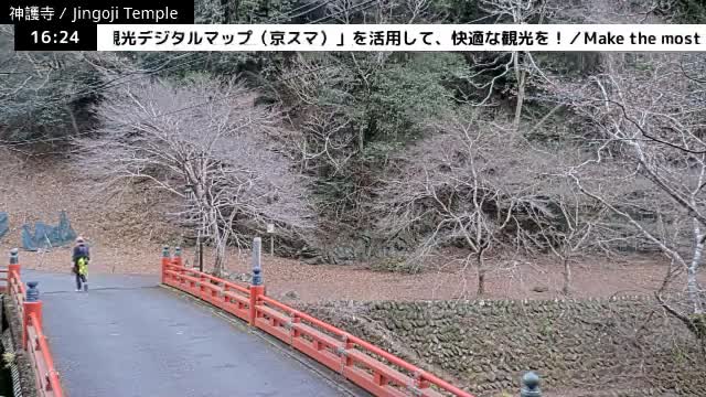 ( 神護寺庭園、京都、右京 ) Jingo-ji Temple Garden, Kyoto, Ukyo  Live Cam - Umegahata Takaocho, Ukyo-ku, Kyoto, Kyōto, Kansai, Japan 