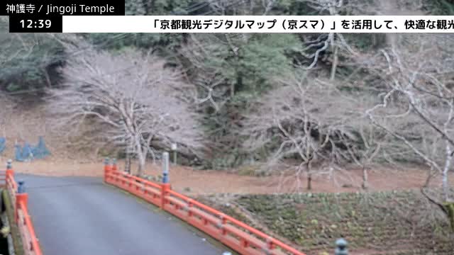 ( 神護寺庭園、京都、右京 ) Jingo-ji Temple Garden, Kyoto, Ukyo  Live Cam - Umegahata Takaocho, Ukyo-ku, Kyoto, Kyōto, Kansai, Japan 