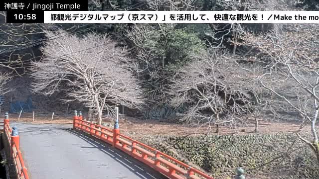 ( 神護寺庭園、京都、右京 ) Jingo-ji Temple Garden, Kyoto, Ukyo  Live Cam - Umegahata Takaocho, Ukyo-ku, Kyoto, Kyōto, Kansai, Japan 