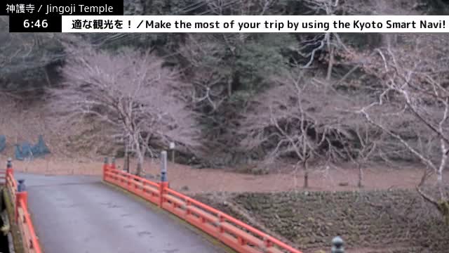 ( 神護寺庭園、京都、右京 ) Jingo-ji Temple Garden, Kyoto, Ukyo  Live Cam - Umegahata Takaocho, Ukyo-ku, Kyoto, Kyōto, Kansai, Japan 