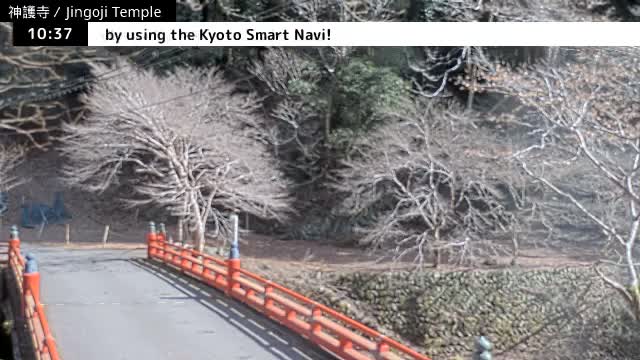( 神護寺庭園、京都、右京 ) Jingo-ji Temple Garden, Kyoto, Ukyo  Live Cam - Umegahata Takaocho, Ukyo-ku, Kyoto, Kyōto, Kansai, Japan 