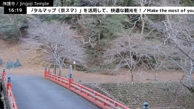 ( 神護寺庭園、京都、右京 ) Jingo-ji Temple Garden, Kyoto, Ukyo  Live Cam - Umegahata Takaocho, Ukyo-ku, Kyoto, Kyōto, Kansai, Japan 