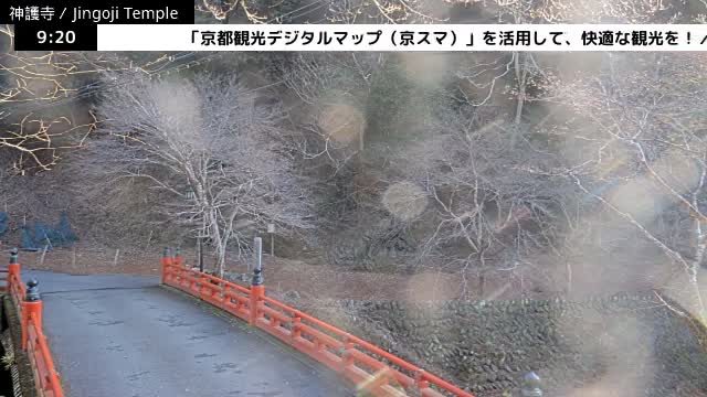 ( 神護寺庭園、京都、右京 ) Jingo-ji Temple Garden, Kyoto, Ukyo  Live Cam - Umegahata Takaocho, Ukyo-ku, Kyoto, Kyōto, Kansai, Japan 