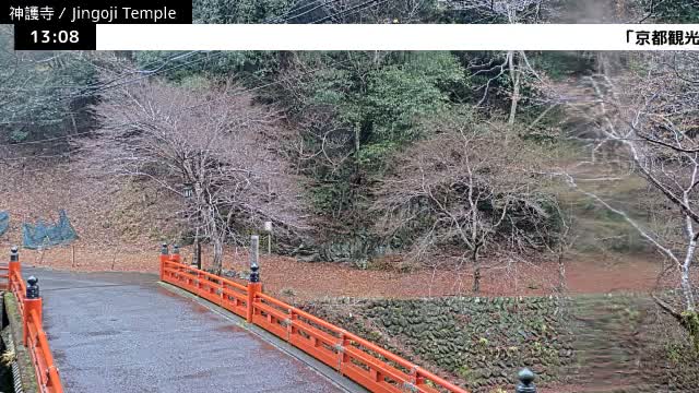 ( 神護寺庭園、京都、右京 ) Jingo-ji Temple Garden, Kyoto, Ukyo  Live Cam - Umegahata Takaocho, Ukyo-ku, Kyoto, Kyōto, Kansai, Japan 