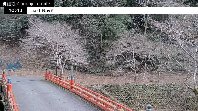 ( 神護寺庭園、京都、右京 ) Jingo-ji Temple Garden, Kyoto, Ukyo  Live Cam - Umegahata Takaocho, Ukyo-ku, Kyoto, Kyōto, Kansai, Japan 