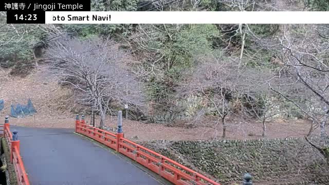 ( 神護寺庭園、京都、右京 ) Jingo-ji Temple Garden, Kyoto, Ukyo  Live Cam - Umegahata Takaocho, Ukyo-ku, Kyoto, Kyōto, Kansai, Japan 