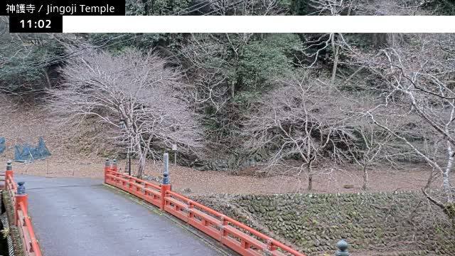 ( 神護寺庭園、京都、右京 ) Jingo-ji Temple Garden, Kyoto, Ukyo  Live Cam - Umegahata Takaocho, Ukyo-ku, Kyoto, Kyōto, Kansai, Japan 