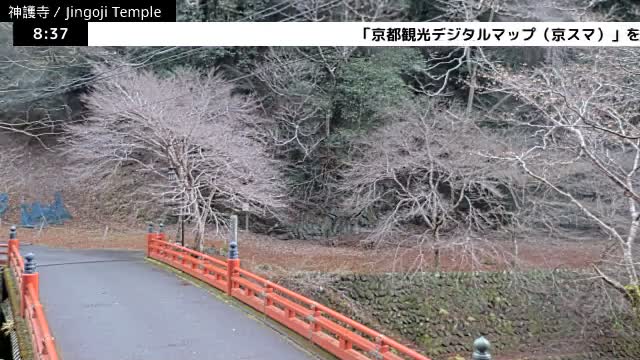 ( 神護寺庭園、京都、右京 ) Jingo-ji Temple Garden, Kyoto, Ukyo  Live Cam - Umegahata Takaocho, Ukyo-ku, Kyoto, Kyōto, Kansai, Japan 