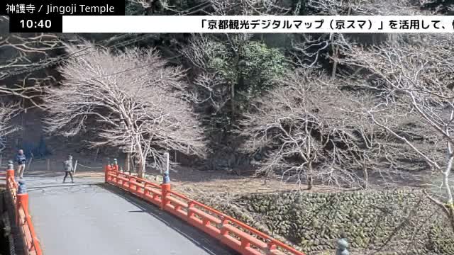 ( 神護寺庭園、京都、右京 ) Jingo-ji Temple Garden, Kyoto, Ukyo  Live Cam - Umegahata Takaocho, Ukyo-ku, Kyoto, Kyōto, Kansai, Japan 